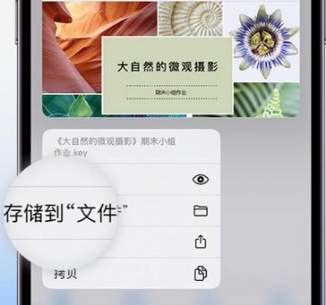 滦南apple维修中心分享iPhone文件应用中存储和找到下载文件