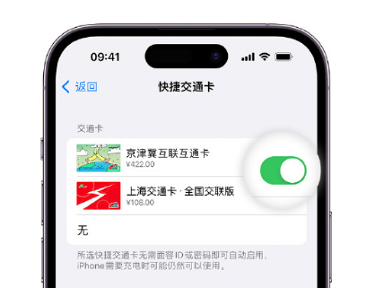 滦南apple维修点分享iPhone上更换Apple Pay快捷交通卡手绘卡面 