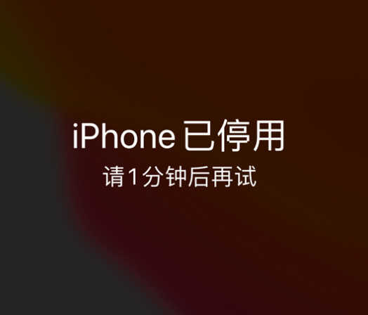 滦南苹果手机维修分享:iPhone 显示“不可用”或“已停用”怎么办？还能保留数据吗？ 