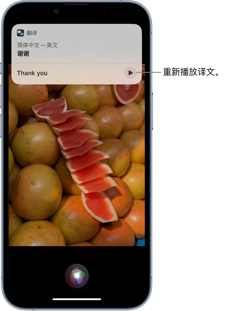 滦南苹果14维修分享 iPhone 14 机型中使用 Siri：了解 Siri 能帮你做什么 