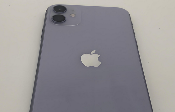 滦南苹果11系统维修分享iPhone11手机系统崩溃无法开机如何解决 